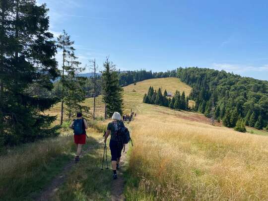 Zapisy na Lato w Gorcach